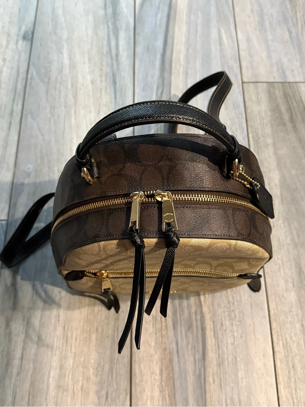 Coach Signature Backpack in Khaki/Chalk